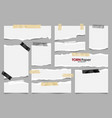 white ripped paper strips collection realistic vector image