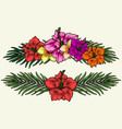 exotic flowers colorful vintage concept vector image