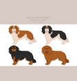 king chares spaniel clipart different poses coat vector image vector image