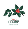mistletoe branch red berries vector image