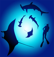 shark and diver swimming with sharks vector image vector image