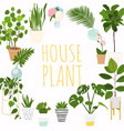 house plants flowerpot isolated objects vector image
