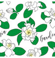 seamless pattern with gardenia jasminoides cape vector image