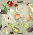 organic vegetables and grunge labelsvintage style vector image