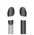 shoes print tire track vector image