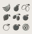 set of fruit food icon vector image vector image