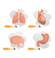 harm smoking to lungs stomach brain heart set vector image vector image