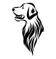 image of an dog labrador vector image