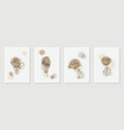 set creative minimalist hand draw floral vector image vector image