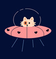 space cats cute and funny kitty in spaceship vector image vector image