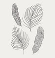 tropical exotic leaves set isolated vector image