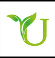 leaf letter vector image