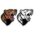 roaring angry grizzly bear mascot head vector image