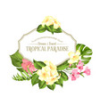 beautiful card with a wreath of tropical flowers vector image