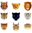 big cats heads set vector image vector image
