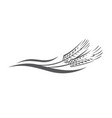 ears of wheat vector image