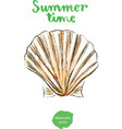 watercolor shell vector image vector image