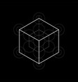 sacred geometry metatrons cube vector image