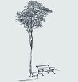 bench in a park vector image