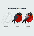 cartoon bullfinch isolated 3 step drawing vector image