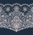 seamless white lace vector image