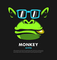 a monkey with crypto currency vector image vector image