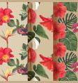 pattern seamless with tropical botany concept vector image