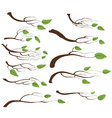 tree branch and leaves set vector image vector image