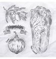 vegetables onion napa cabbage olives vintage vector image