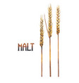 watercolor malt set vector image