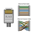 Ethernet connector pinout color code straight and Vector Image