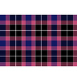 pink blue check seamless plaid vector image
