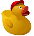 rubber ducky with cap vector image vector image