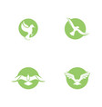 bird fly logo template vector image