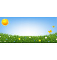 green grass border with flowers and sun isolated vector image vector image