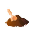 heap of chocolate cocoa powder on white vector image