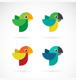 set parrot design on white background wild vector image