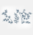 bamboo japanese paint style design sketch vector image