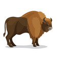 aurochs animal in brown colour with horns isolated vector image