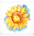 watercolor painting sunflower vector image vector image