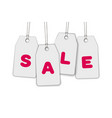 hanging price tags with inscription sale white vector image