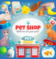pet shop frame background vector image