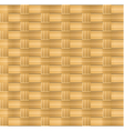 bamboo seamless pattern vector image
