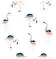abstract seamless pattern with colorful flamingo vector image