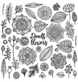 big set of hand drawn flowers branches vector image