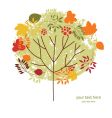 autumnal tree vector image vector image