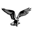 bird of prey in flight vector image vector image