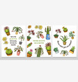 set of cards cactus and cute template succulents vector image vector image