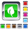 leaf square button vector image