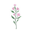 lilac flowers on a green stem vector image